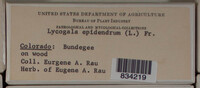 Image Associated With the Occurence
